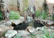 water-feature-1.jpg